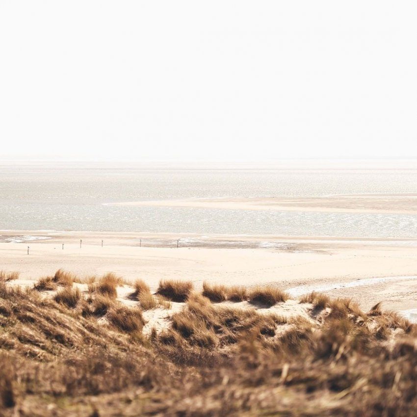 Sea Holistic
