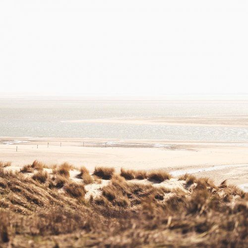Sea Holistic