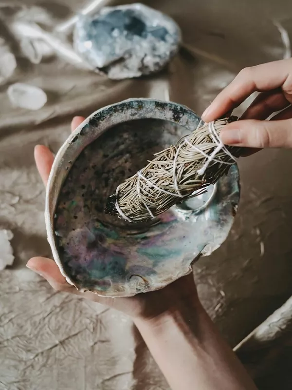 Descubre Paradisus by Meliá, un oasis de lujo en Gran Canaria