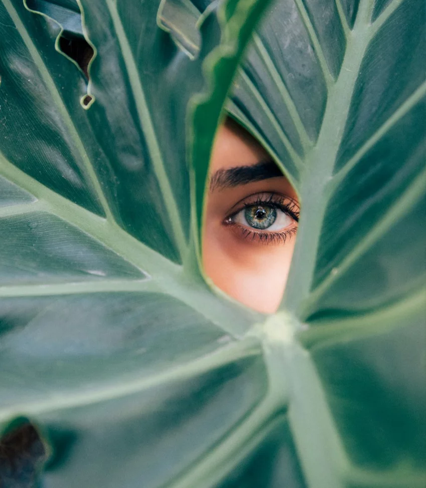 Terapias y experiencias inspiradas en la cultura de los aborígenes canarios en Taro Spa, Gran Canaria.